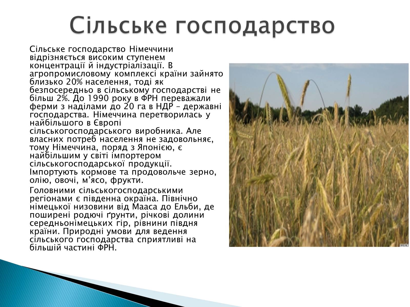 Презентація на тему «Федеративна Республіка Німеччини» - Слайд #10