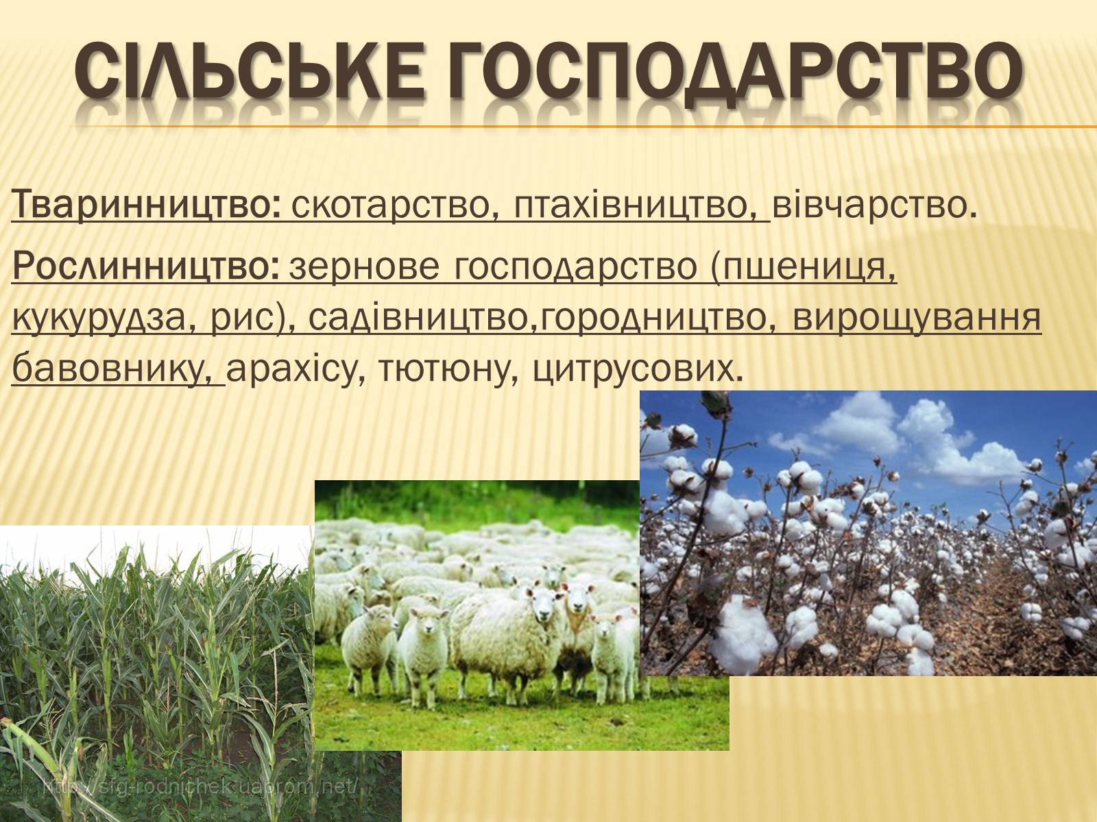 Презентація на тему «Сполучені Штати Америки» (варіант 3) - Слайд #18