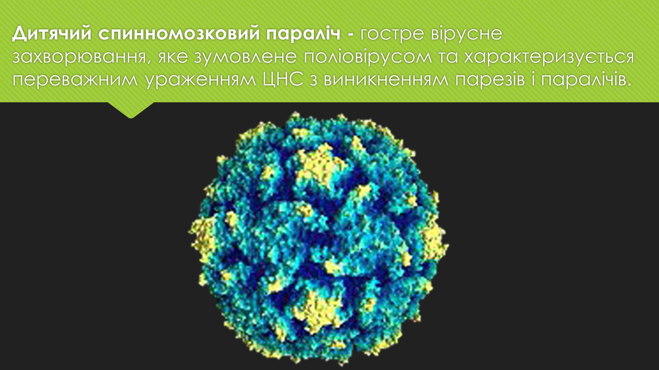 Презентація на тему «Поліомієліт» (варіант 1) - Слайд #2