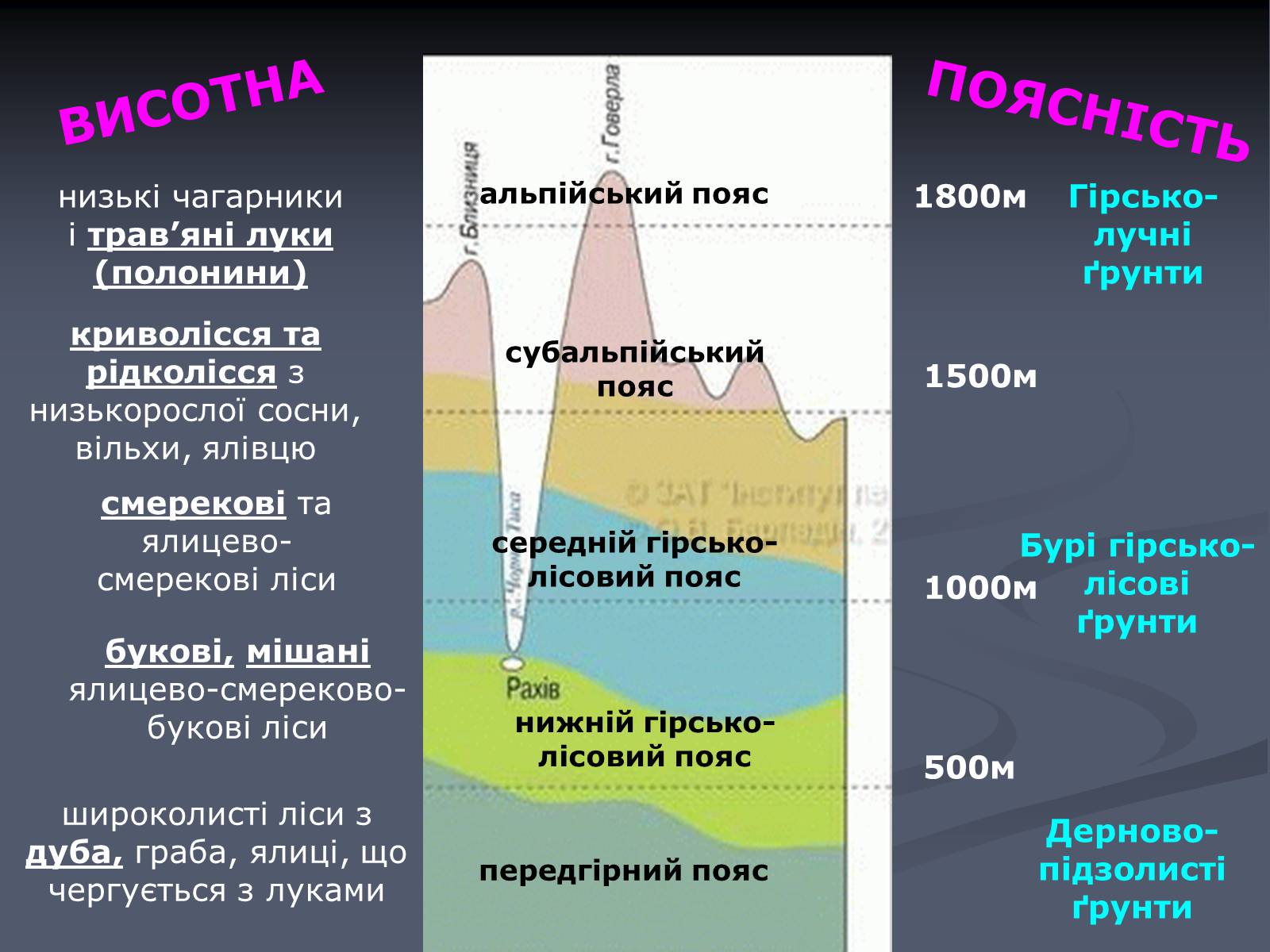 Презентація на тему «Карпатський економічний район» (варіант 5) - Слайд #12