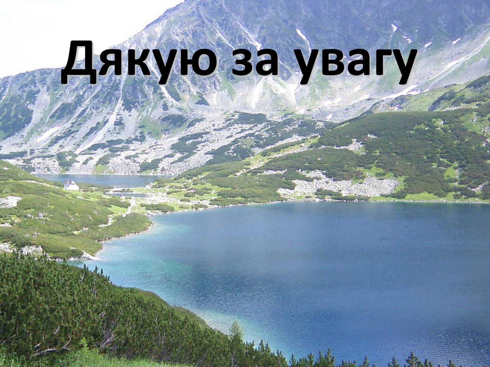 Презентація на тему «Карпатський економічний район» (варіант 5) - Слайд #41