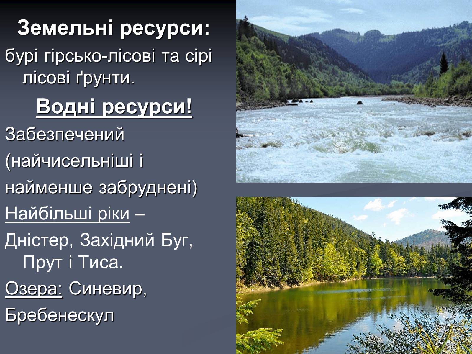 Презентація на тему «Карпатський економічний район» (варіант 5) - Слайд #8