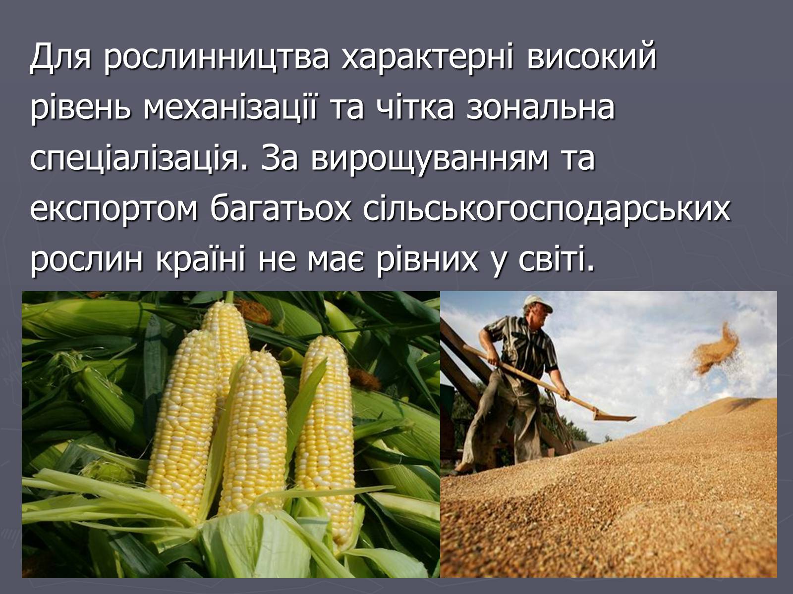 Презентація на тему «Населення та господарство США» - Слайд #21