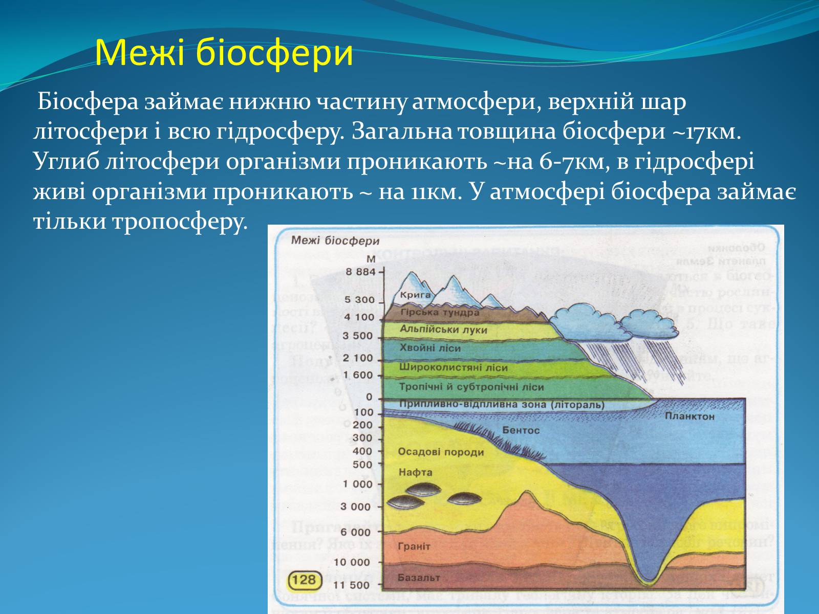 Презентація на тему «Поняття про біосферу» (варіант 2) - Слайд #8