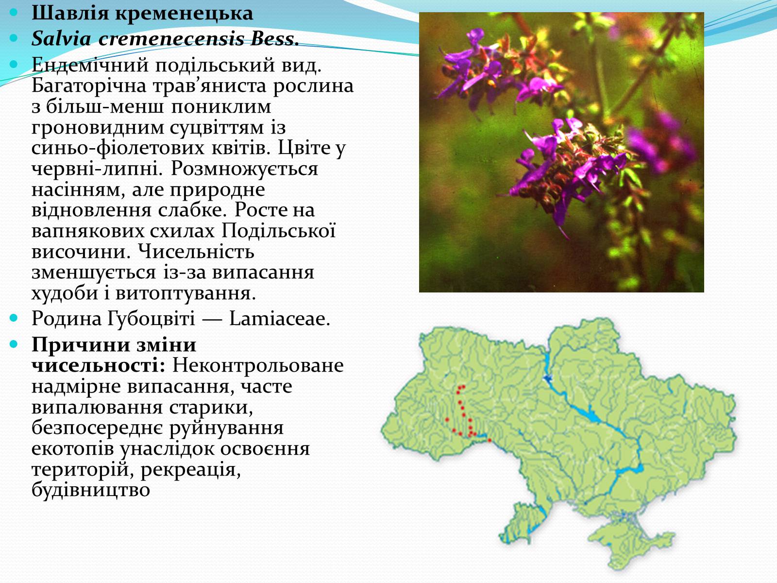 Презентація на тему «Червона книга» (варіант 3) - Слайд #4