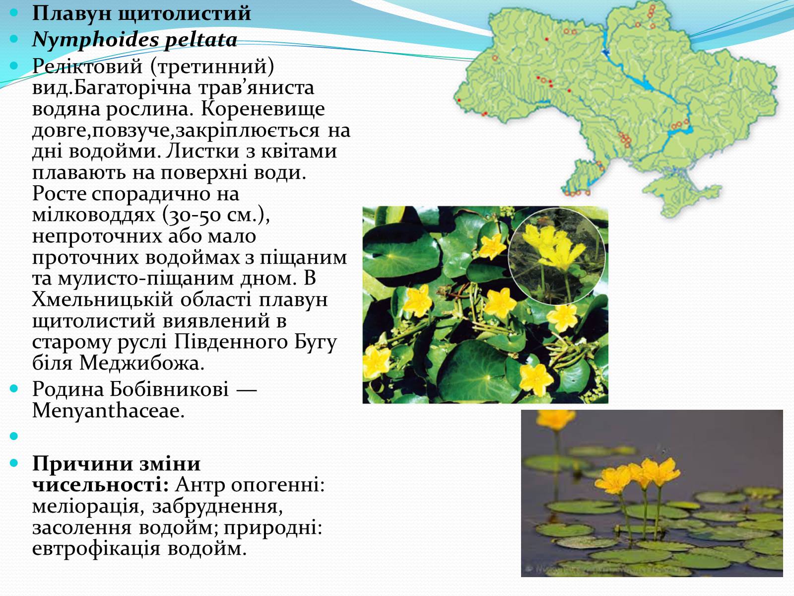 Презентація на тему «Червона книга» (варіант 3) - Слайд #7