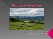 Презентація на тему «Карпатський район»