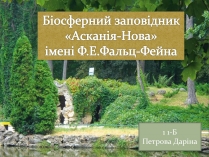 Презентація на тему «Асканія Нова» (варіант 4)