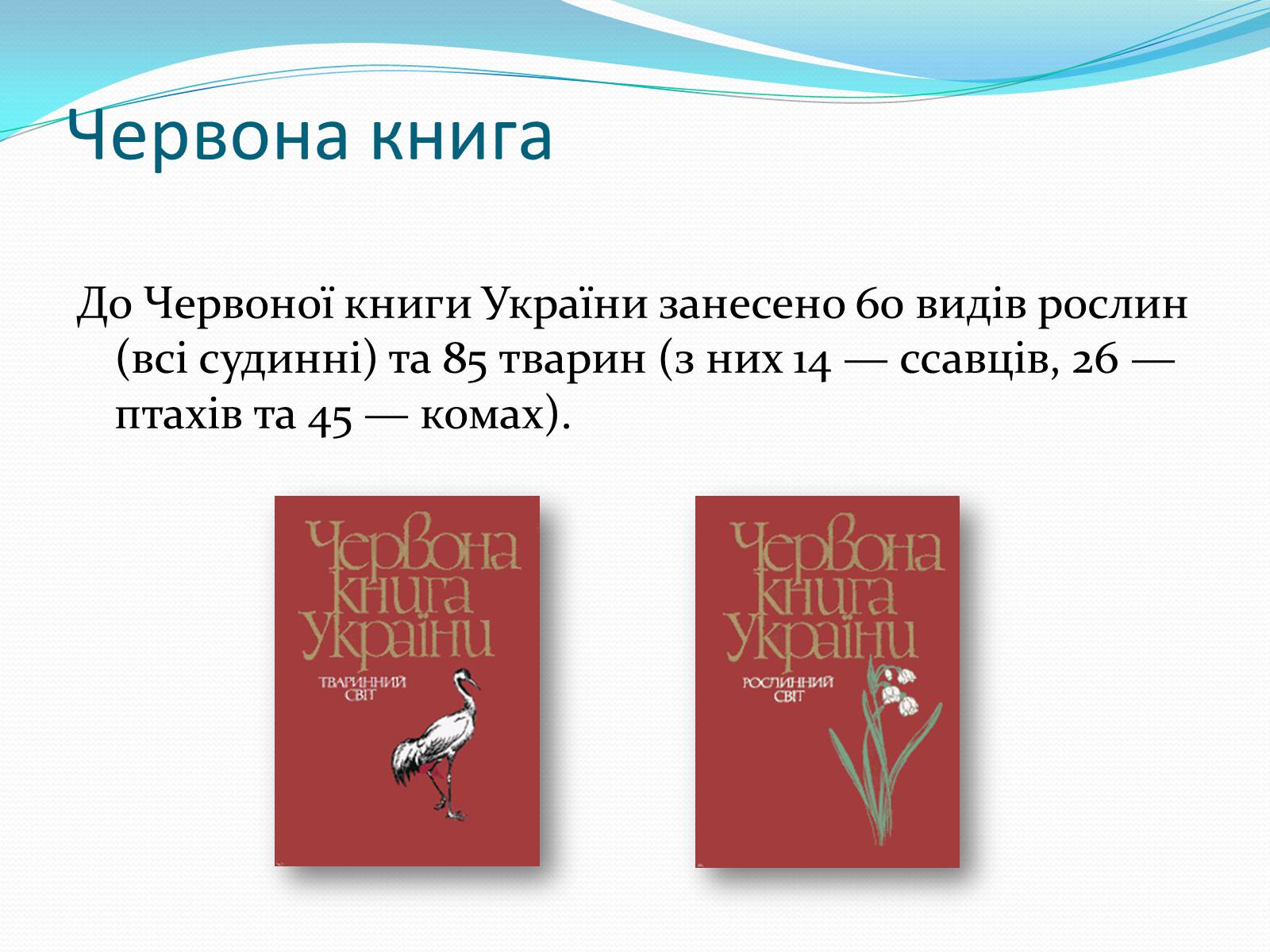 Презентація на тему «Національний природний парк Подільські Товтри» (варіант 2) - Слайд #5