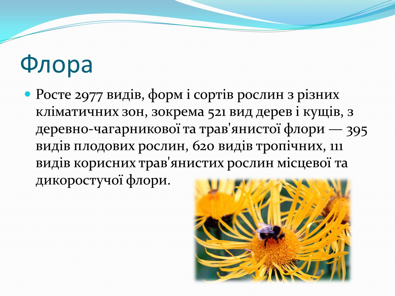 Презентація на тему «Національний природний парк Подільські Товтри» (варіант 2) - Слайд #6