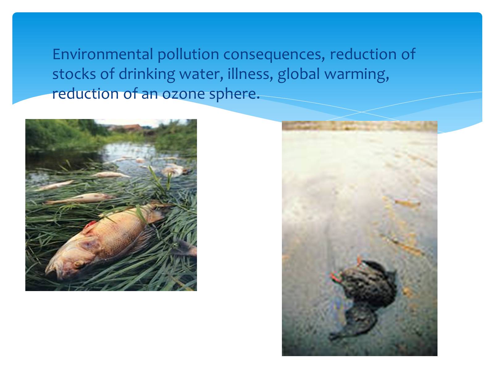 Презентація на тему «Environmental problems» (варіант 3) - Слайд #12