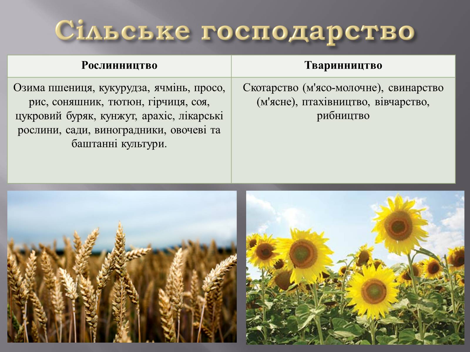 Презентація на тему «Причорноморський економічний район» (варіант 2) - Слайд #11