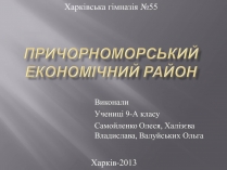 Презентація на тему «Причорноморський економічний район» (варіант 2)