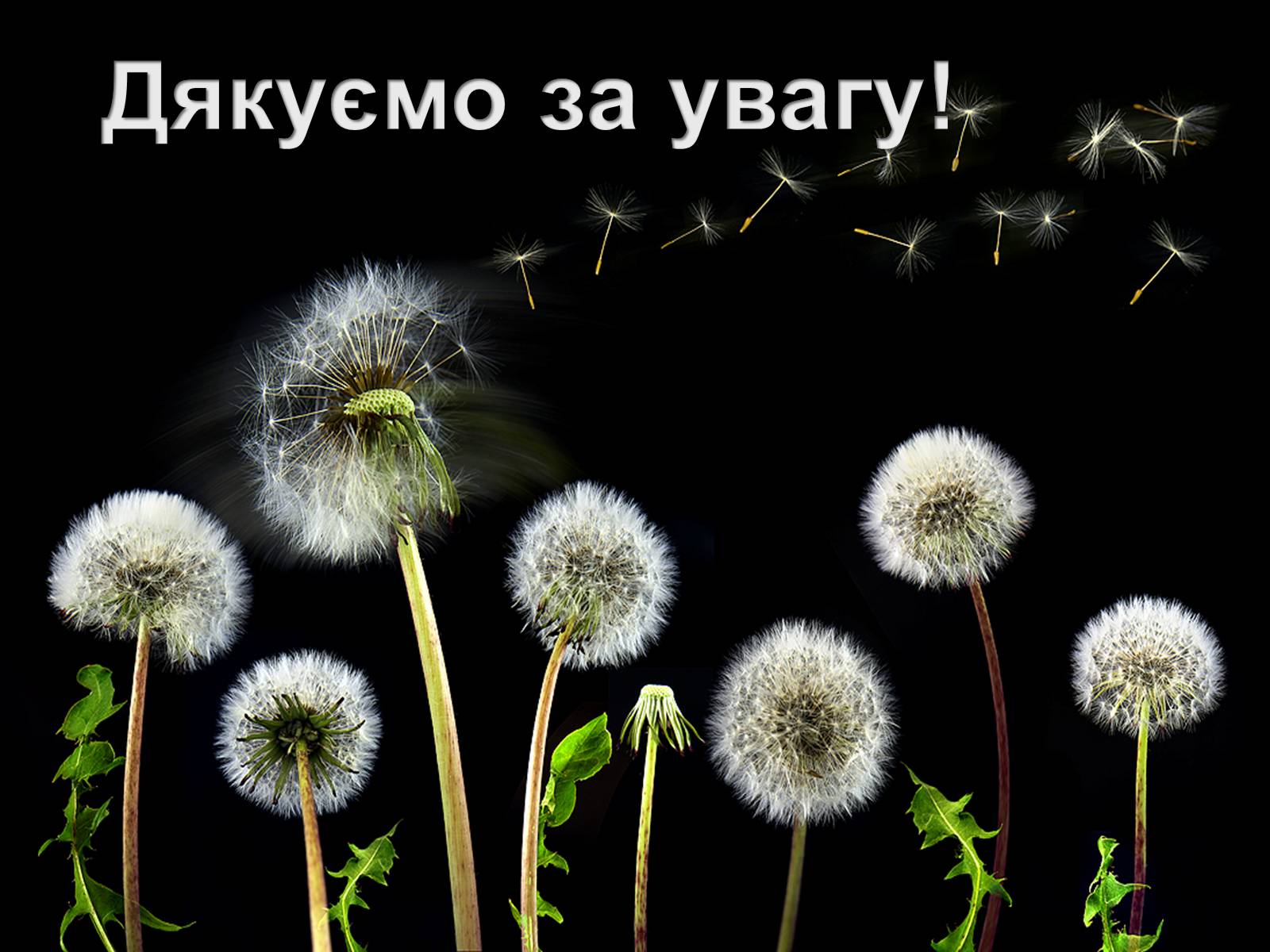 Презентація на тему «Подільський економічний район» (варіант 2) - Слайд #15