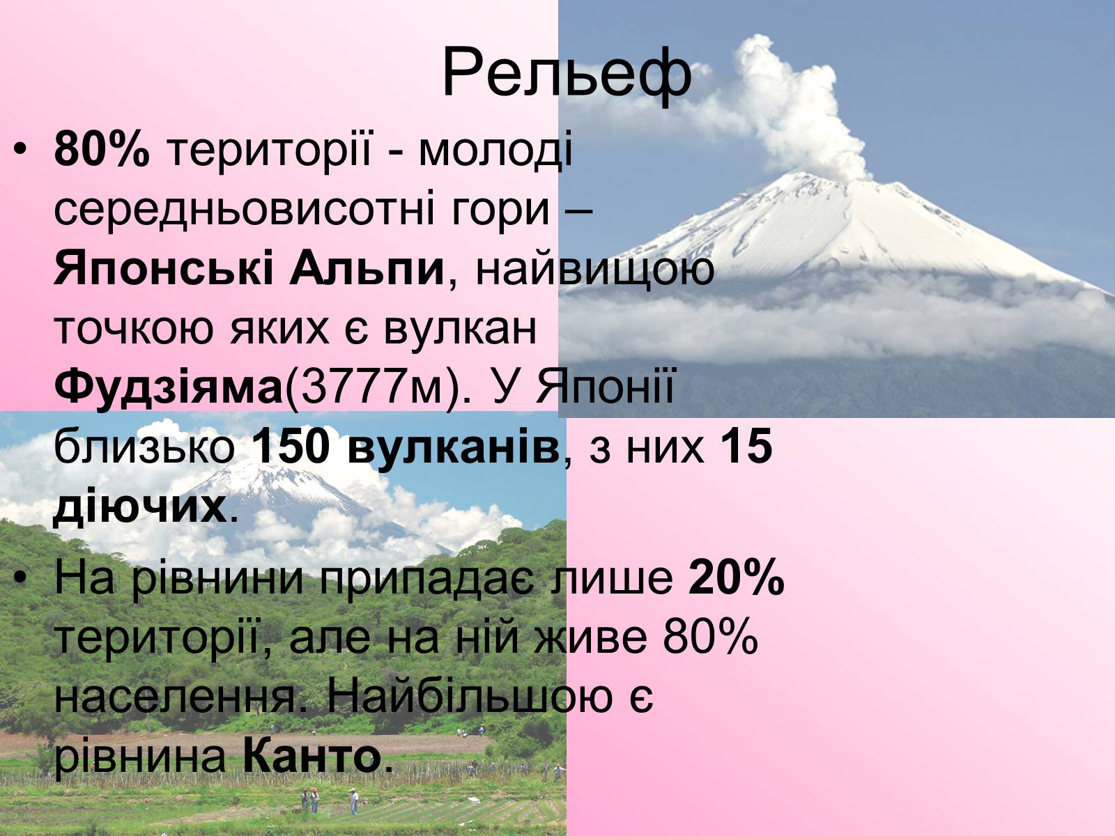 Презентація на тему «Японія» (варіант 47) - Слайд #8