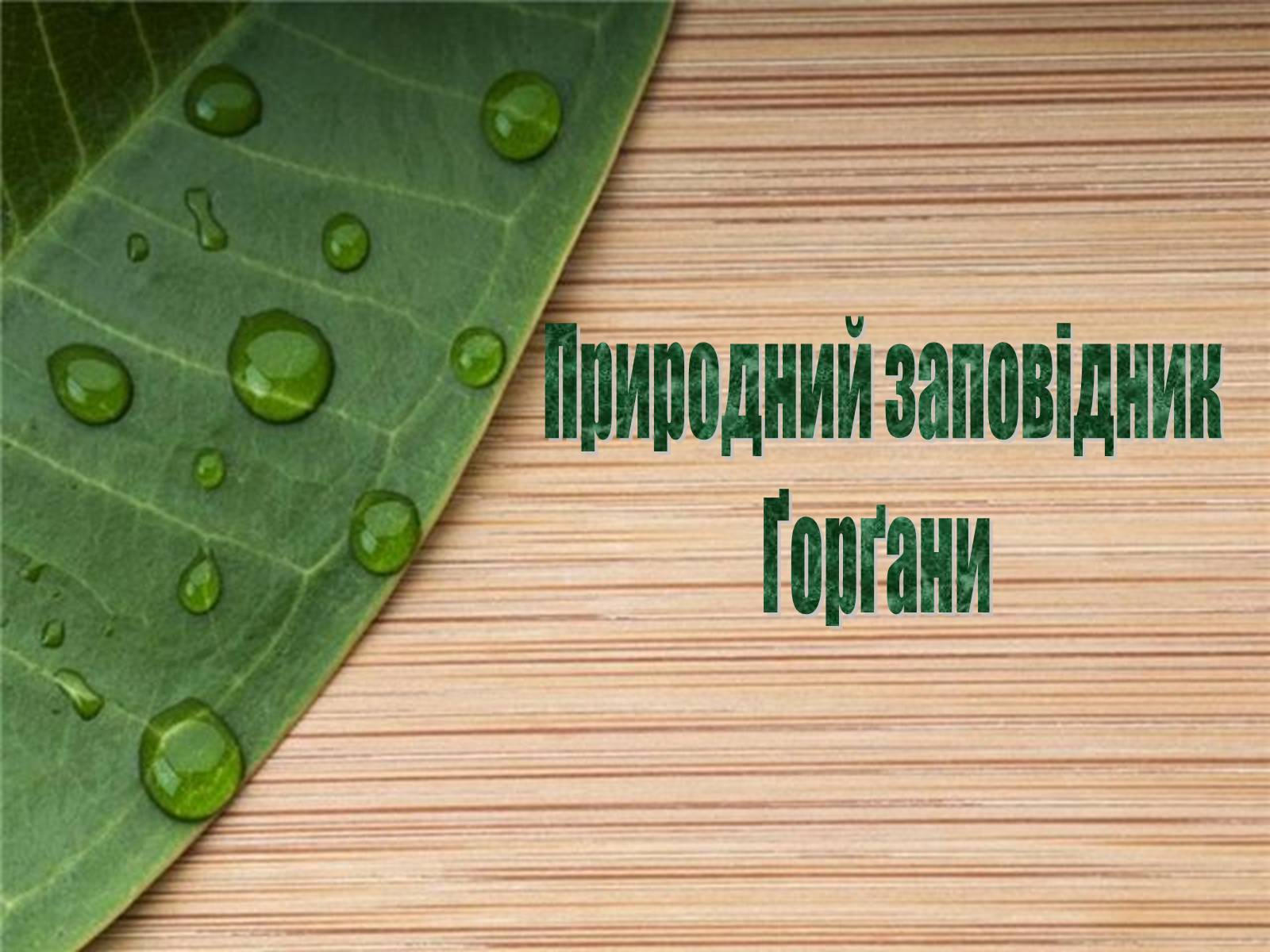 Презентація на тему «Природний заповідник Ґорґани» - Слайд #1