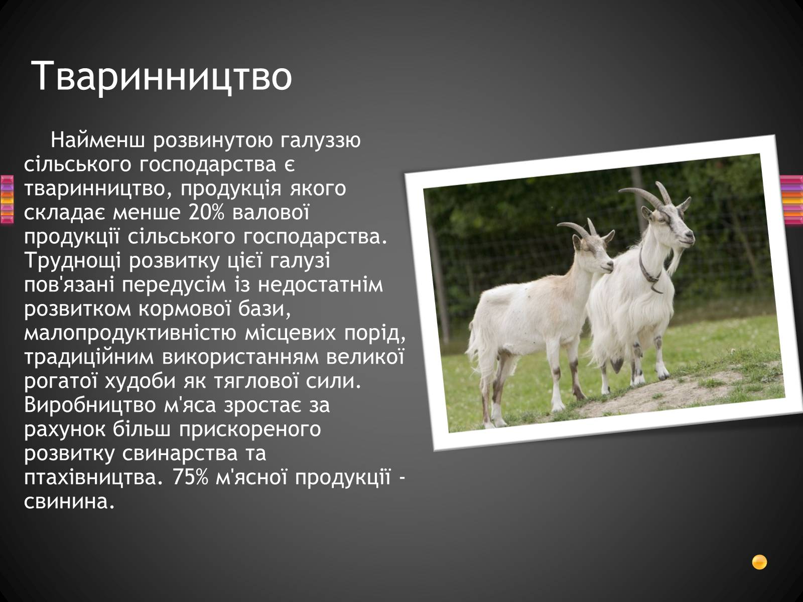 Презентація на тему «Корейська Народно-Демократична Республіка» - Слайд #16