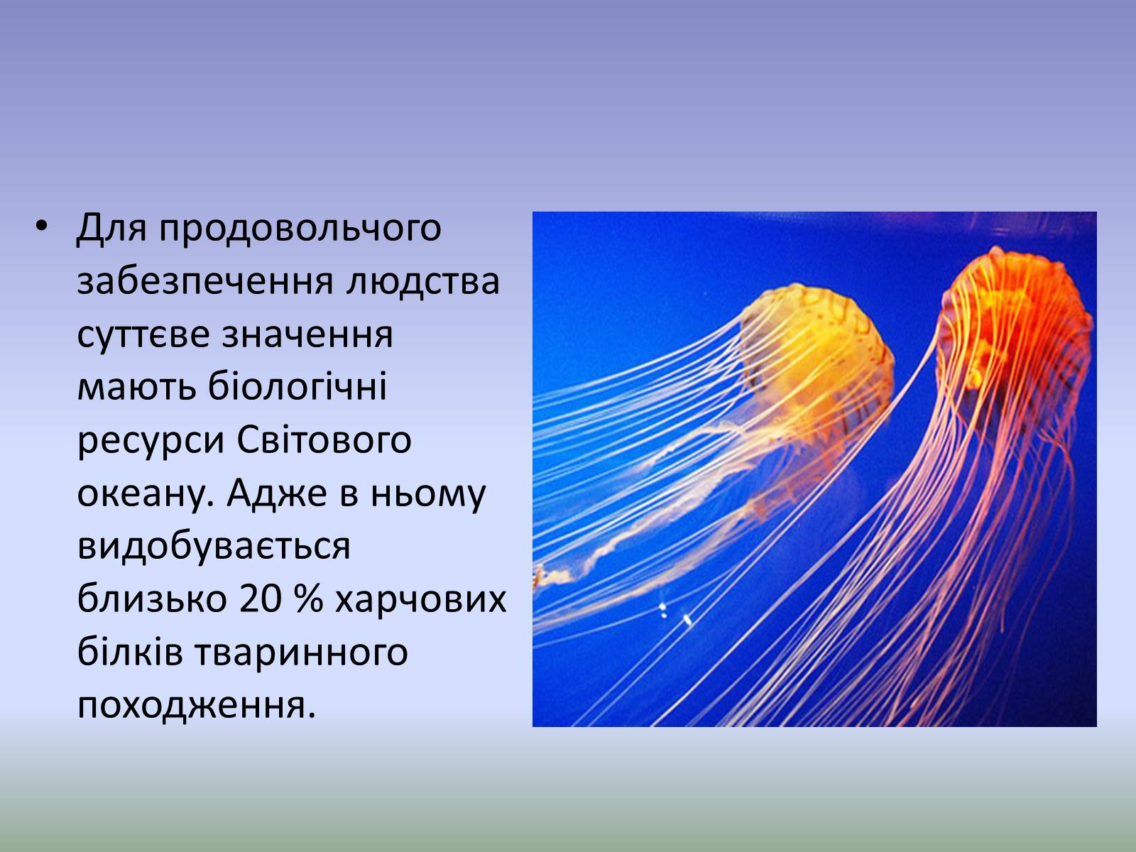 Презентація на тему «Глобальна проблема людства. Економічні проблеми» - Слайд #19