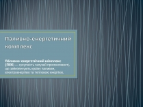 Презентація на тему «Паливно-енергетичний комплекс» (варіант 1)