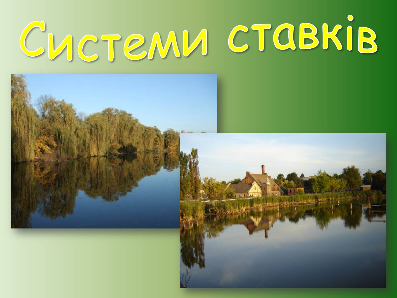 Презентація на тему «Немирівський комплекс» - Слайд #13