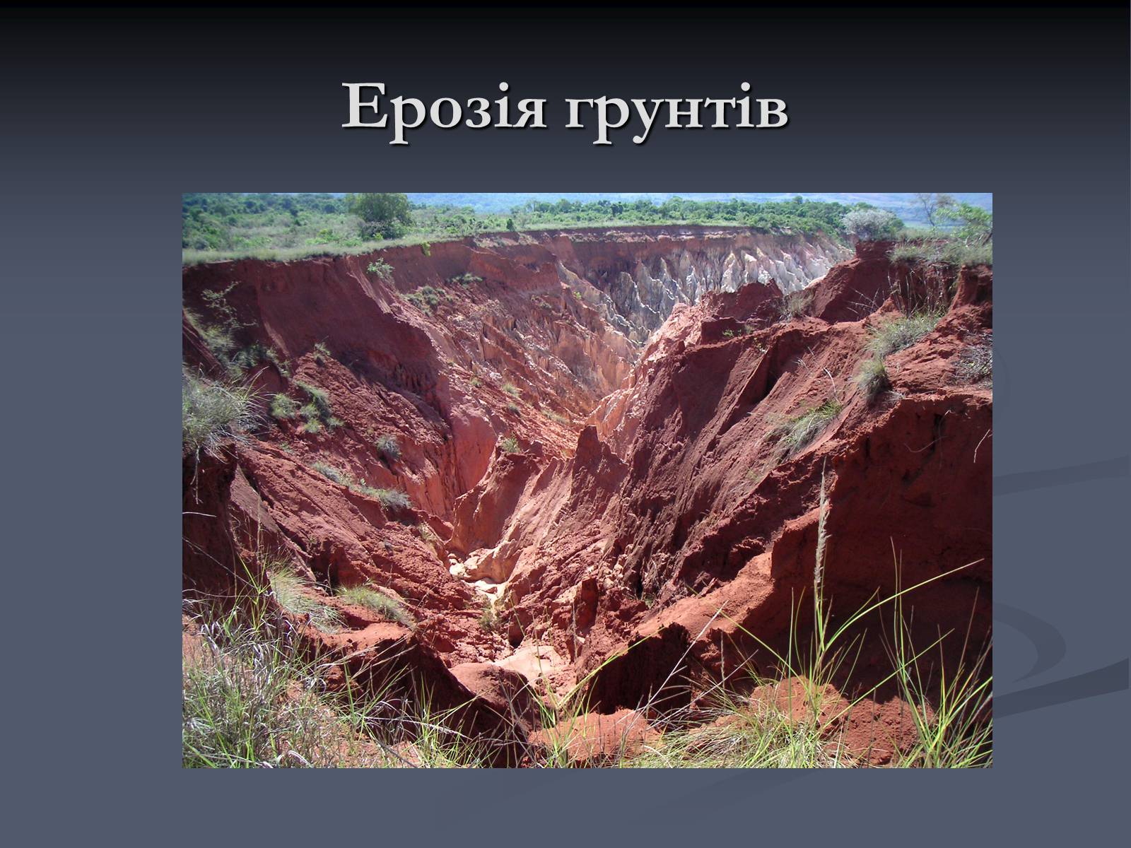 Презентація на тему «Екологічні проблеми сучасності» - Слайд #21