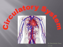 Презентація на тему «Circulatory System»