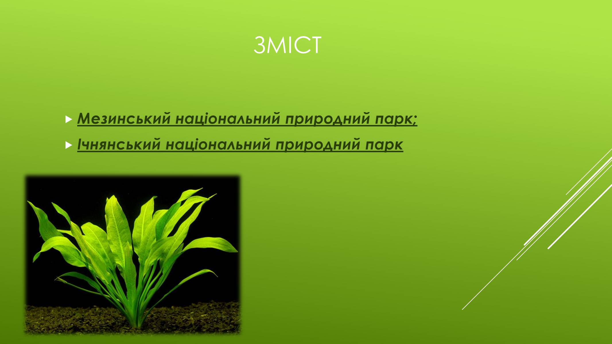 Презентація на тему «Національні Природні парки Чернігівської області» - Слайд #2