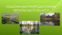 Презентація на тему «Національні Природні парки Чернігівської області»