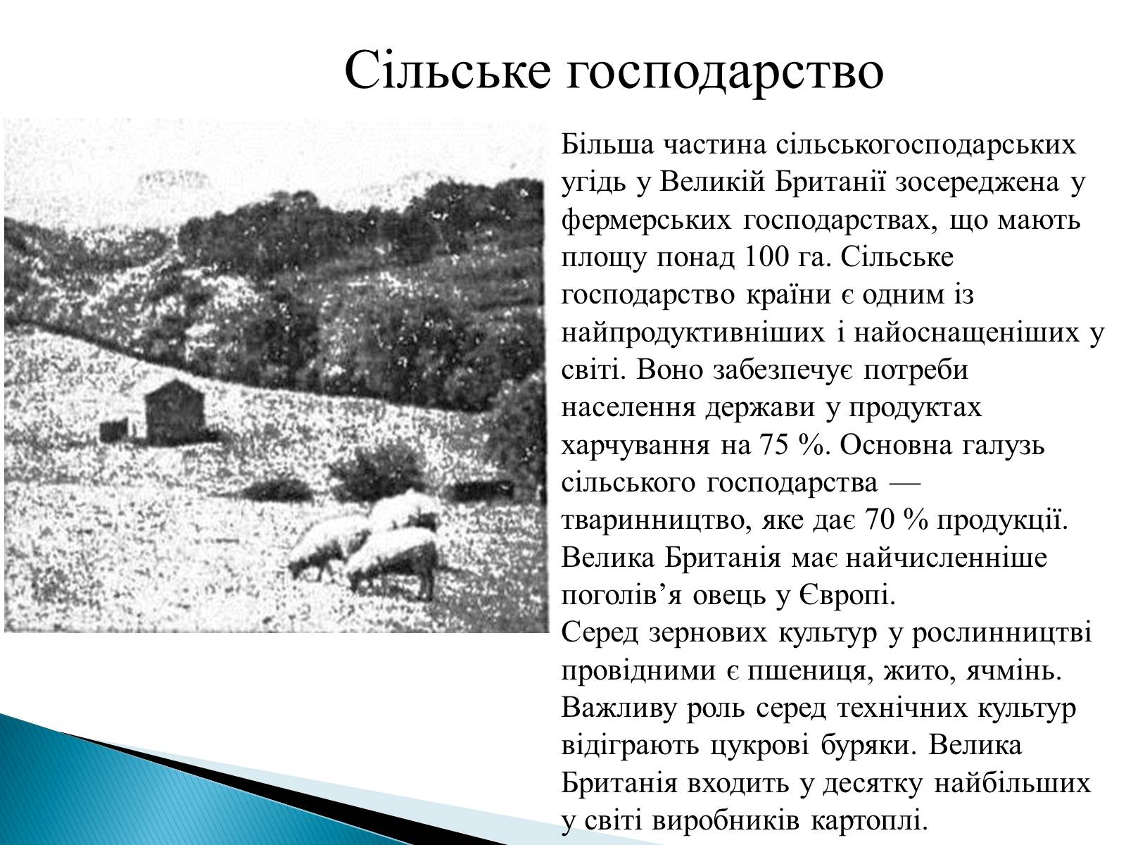 Презентація на тему «Велика Британія» (варіант 22) - Слайд #7