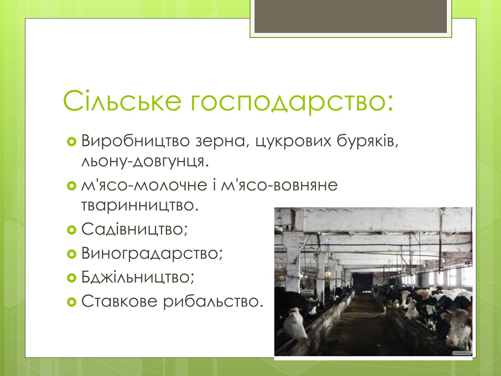 Презентація на тему «Карпатський економічний район» (варіант 4) - Слайд #34