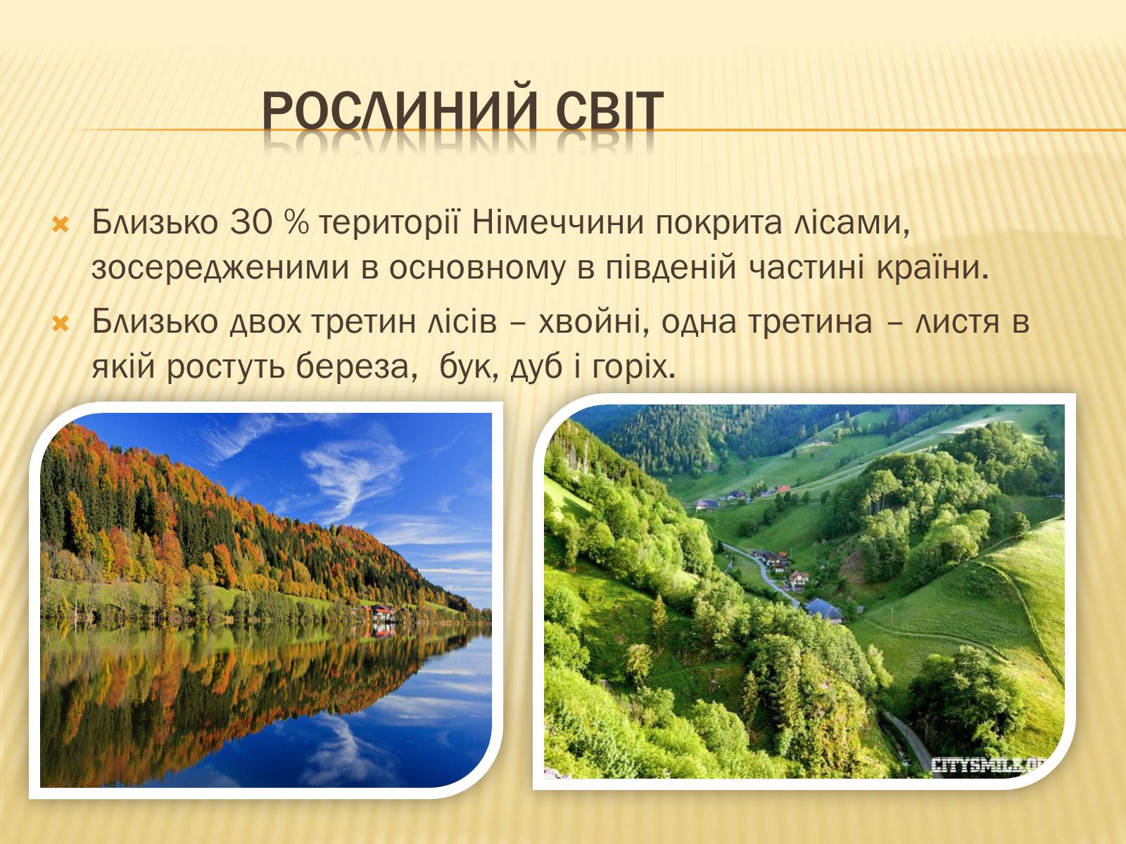 Презентація на тему «Федеративна Республіка Німеччина» (варіант 11) - Слайд #6