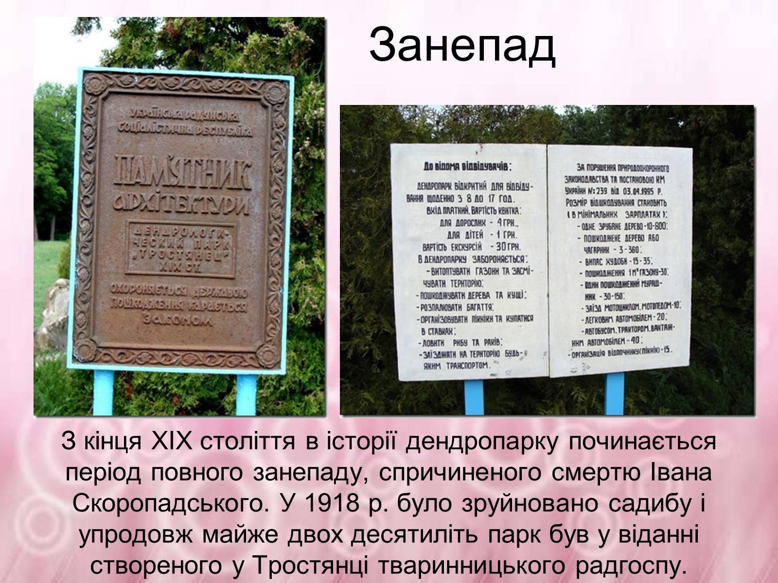 Презентація на тему «Державний дендрологічний парк «Тростянець»» - Слайд #9