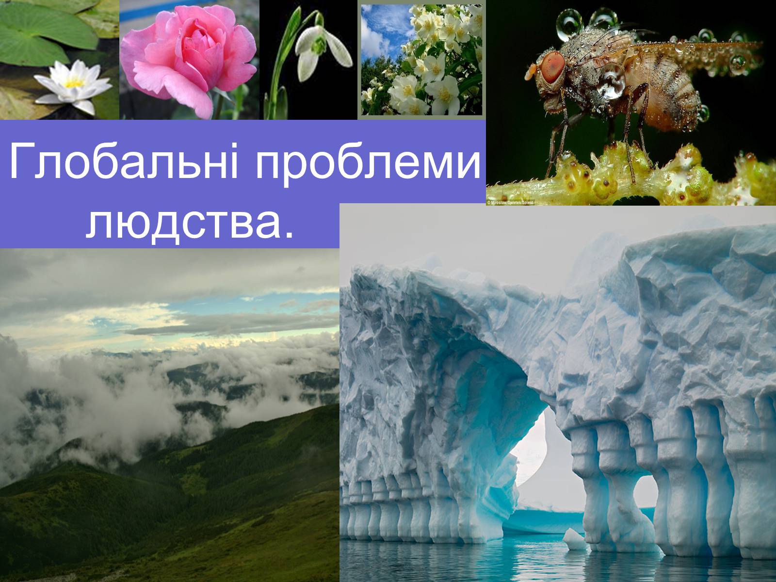 Презентація на тему «Глобальні проблеми людства» (варіант 1) - Слайд #1