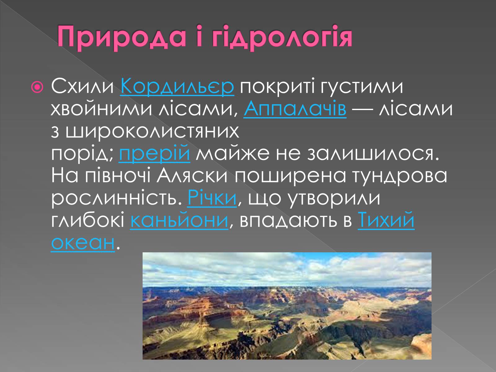 Презентація на тему «США» (варіант 1) - Слайд #8