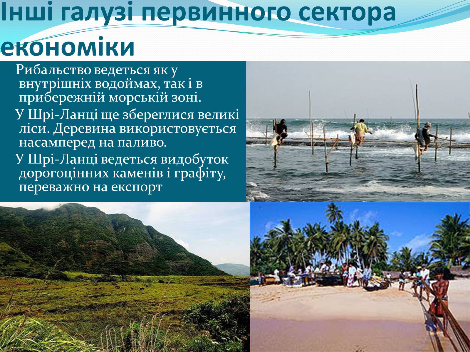 Презентація на тему «Демократична Соціалістична Республіка Шрі-Ланка» - Слайд #10