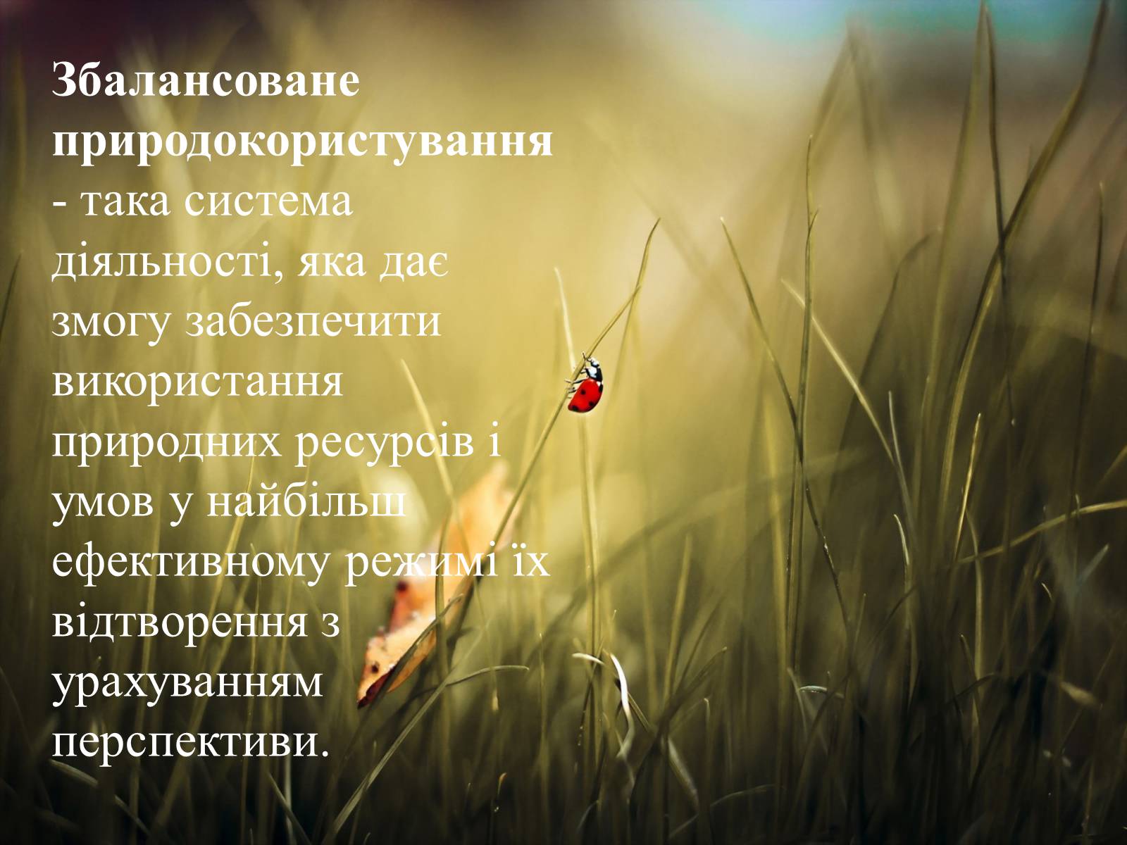 Презентація на тему «Найважливіші баланси у сфері природокористування» - Слайд #3