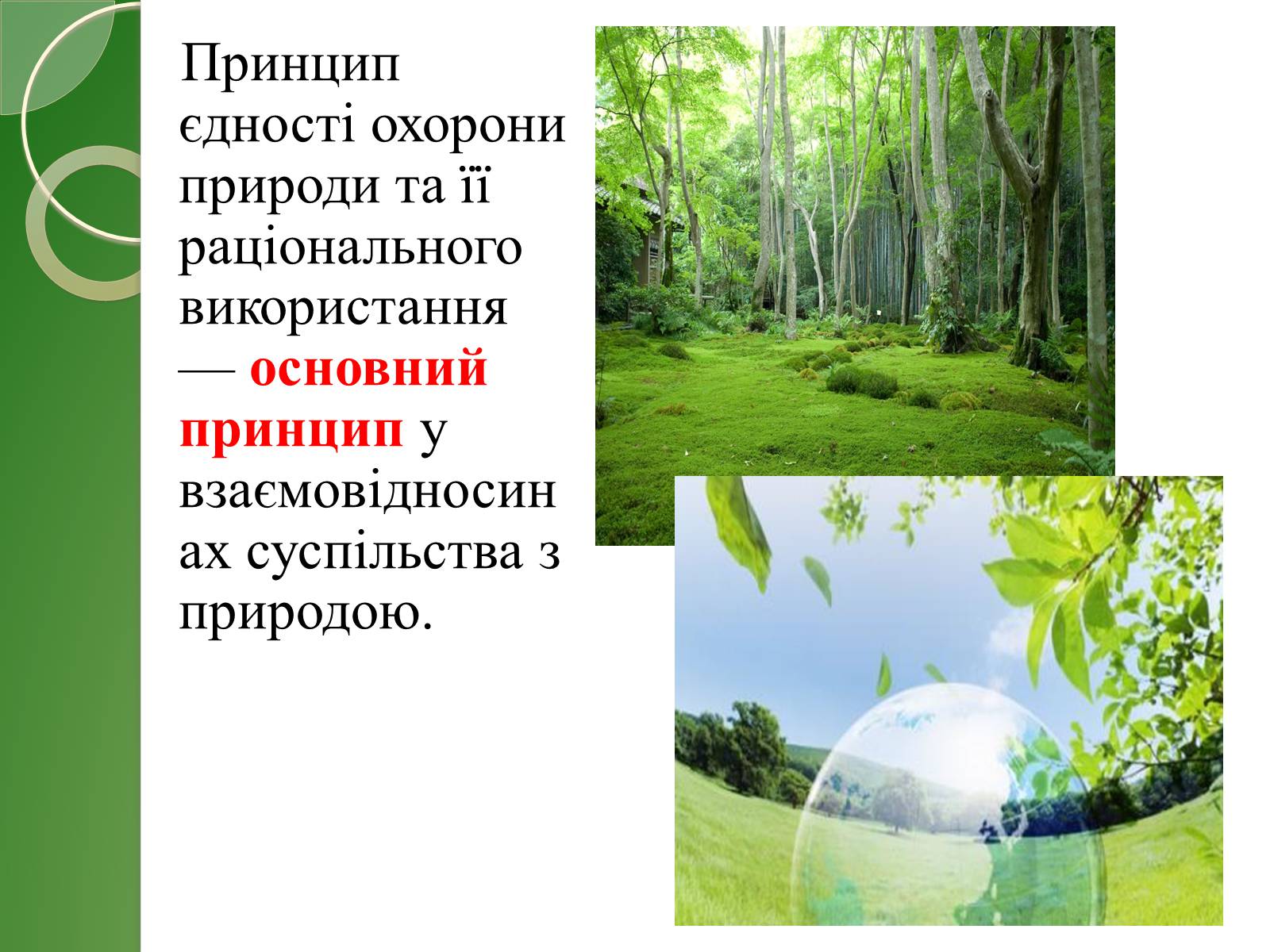 Презентація на тему «Найважливіші баланси у сфері природокористування» - Слайд #5