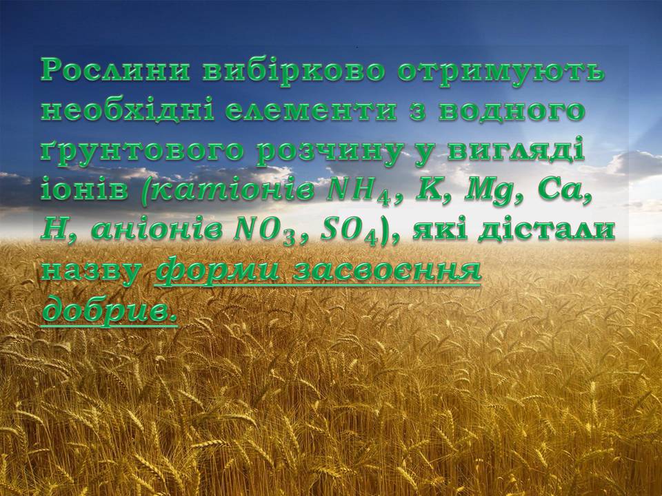 Презентація на тему «Загальні відомості про мінеральні добрива» (варіант 2) - Слайд #5