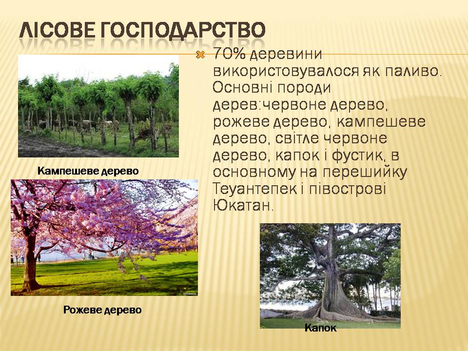 Презентація на тему «Загальна характеристика економіки Мексики» - Слайд #13