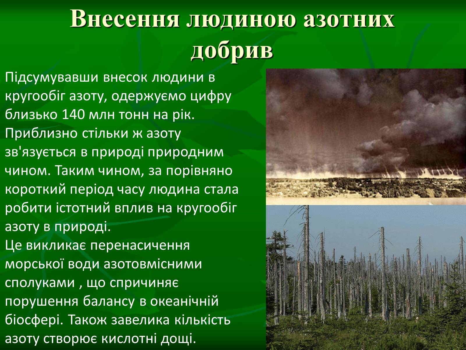 Презентація на тему «Цикл нітрогену в природі» - Слайд #10