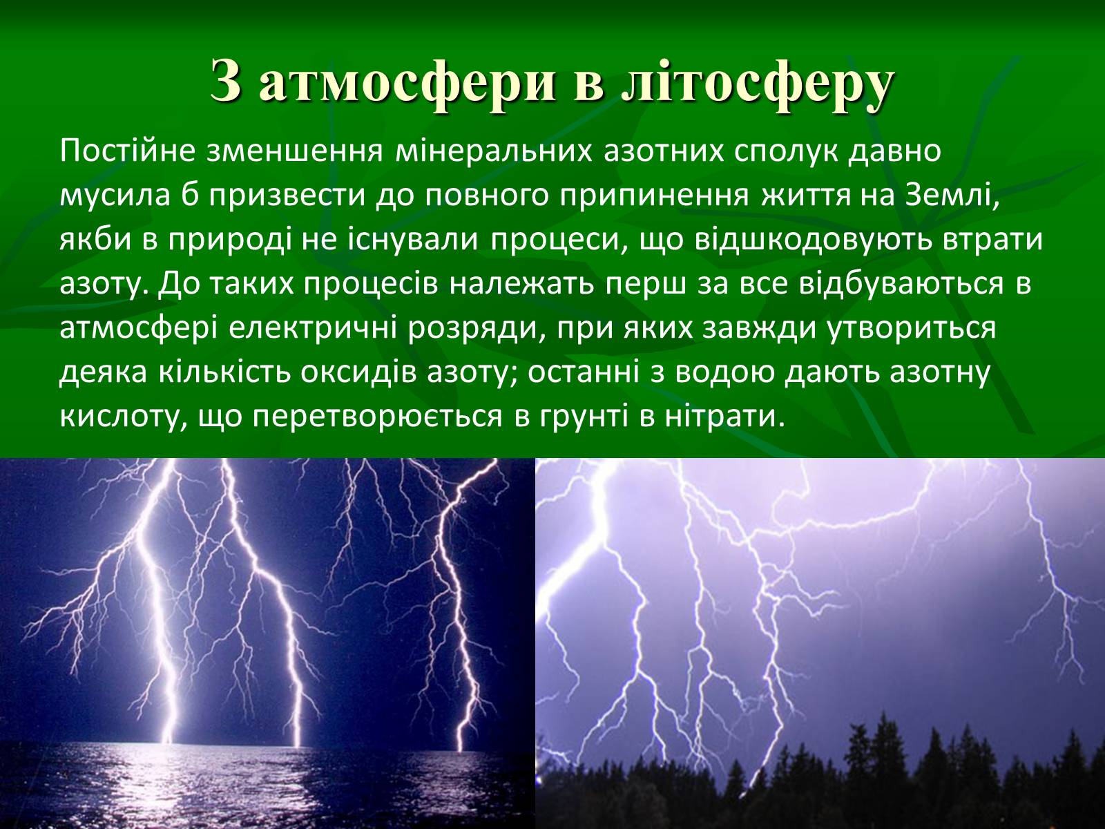 Презентація на тему «Цикл нітрогену в природі» - Слайд #7