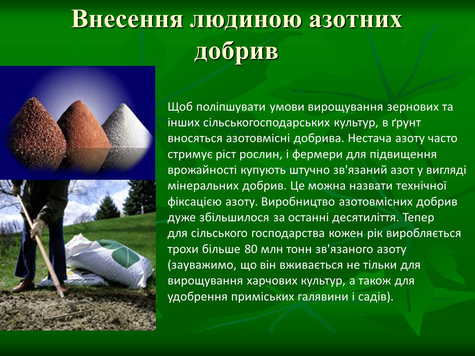 Презентація на тему «Цикл нітрогену в природі» - Слайд #9