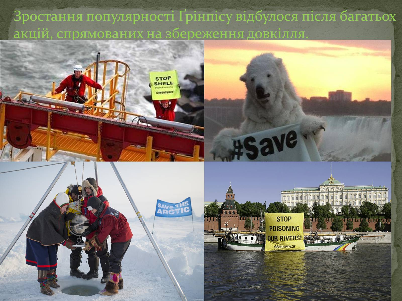 Презентація на тему «Greenpeace» (варіант 1) - Слайд #5