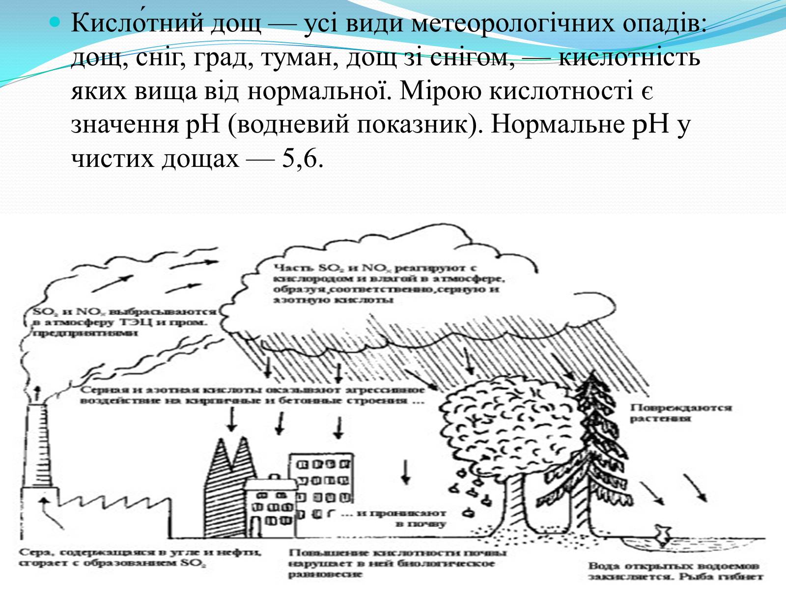 Презентація на тему «Проблема деградації природніх компонентів» - Слайд #12