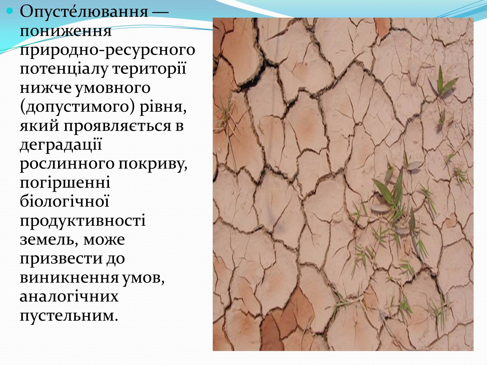 Презентація на тему «Проблема деградації природніх компонентів» - Слайд #14