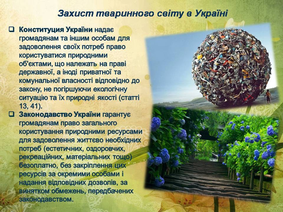 Презентація на тему «Глобальні екологічні проблеми сучасності» (варіант 2) - Слайд #8