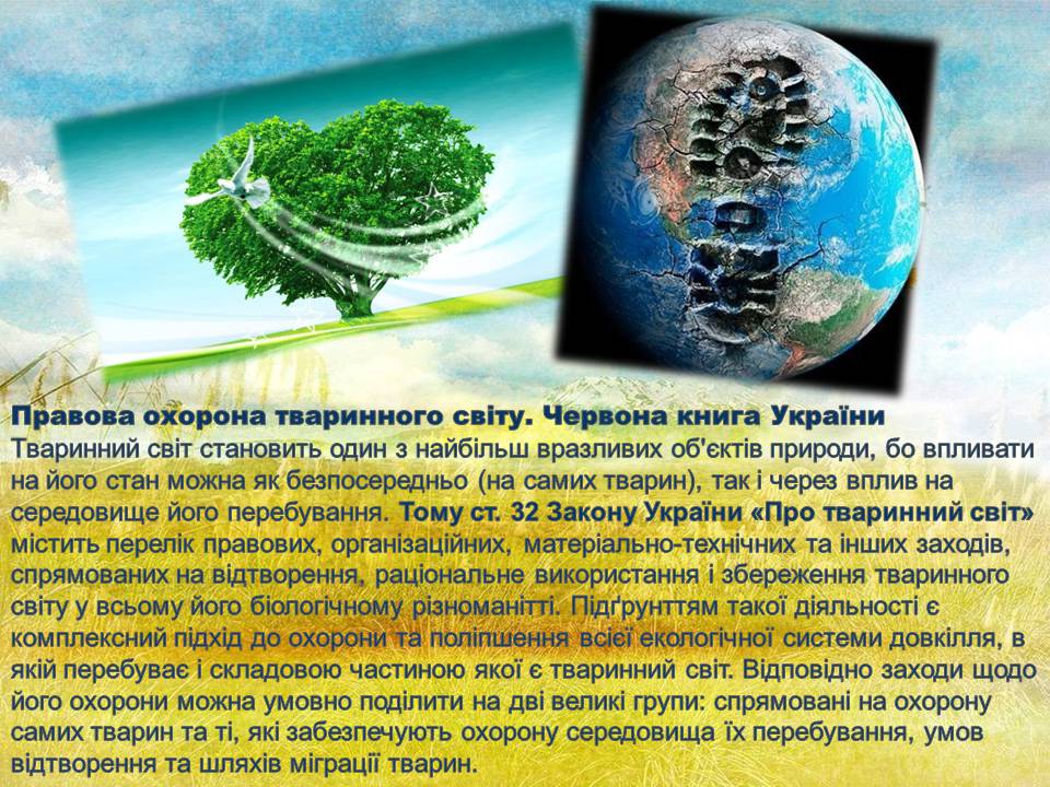 Презентація на тему «Глобальні екологічні проблеми сучасності» (варіант 2) - Слайд #9