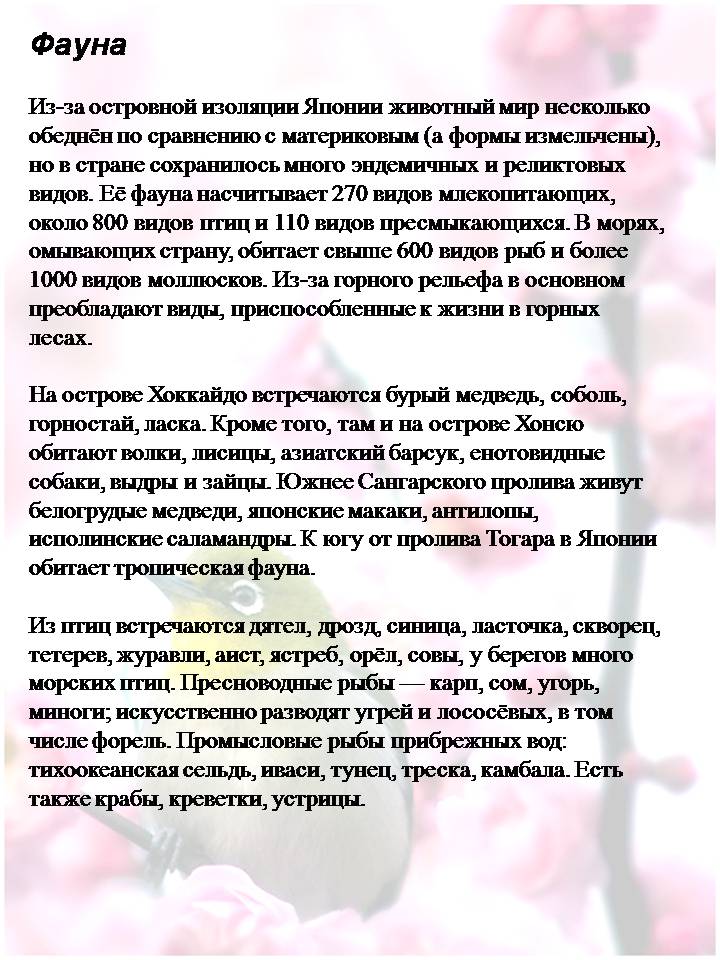 Презентація на тему «Японія» (варіант 60) - Слайд #11