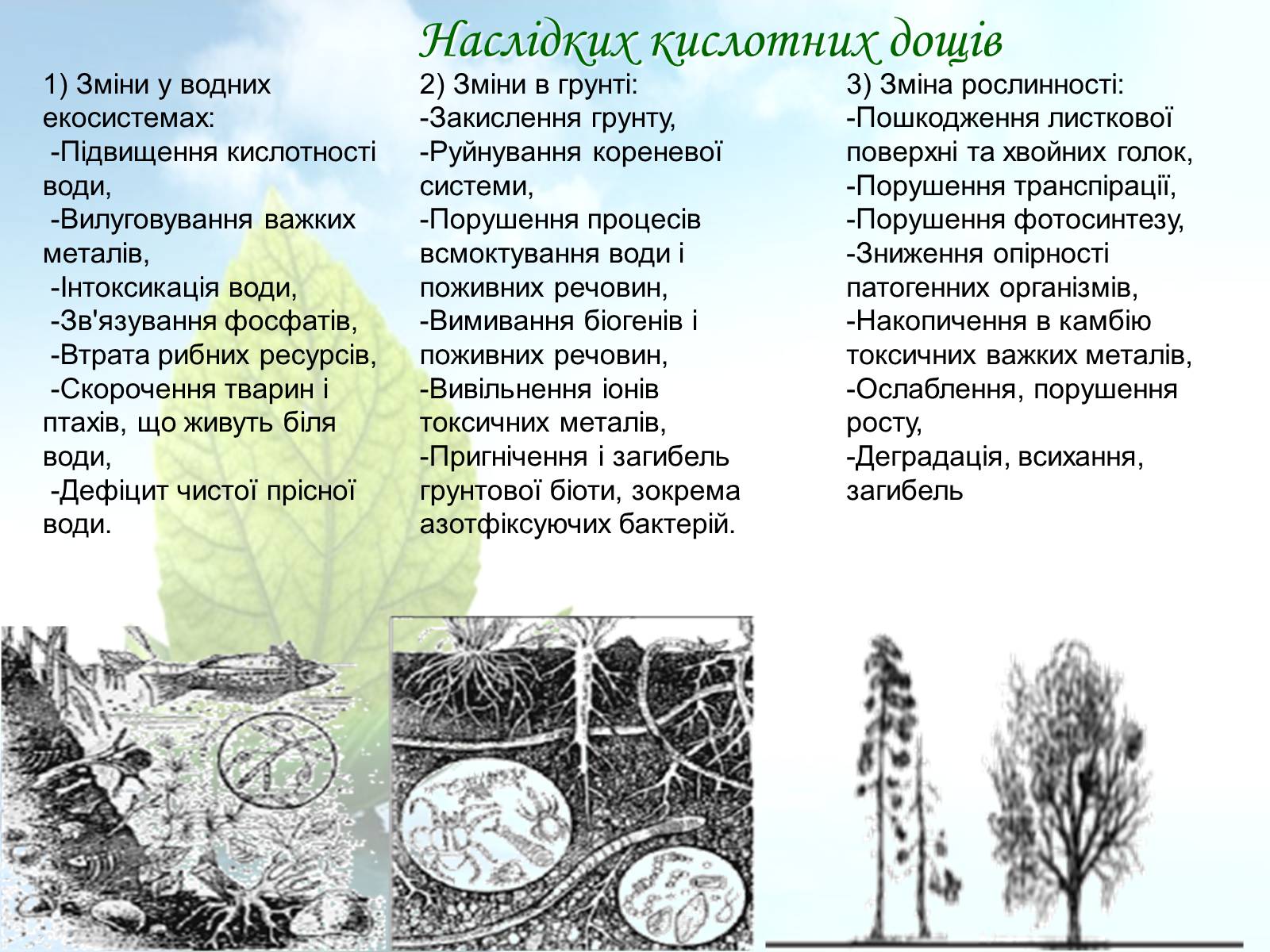 Презентація на тему «Причини винекнення та екологічні наслідки кислотних дощів» - Слайд #15