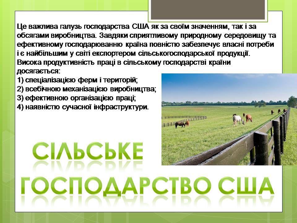 Презентація на тему «Сполучені Штати Америки» (варіант 16) - Слайд #10